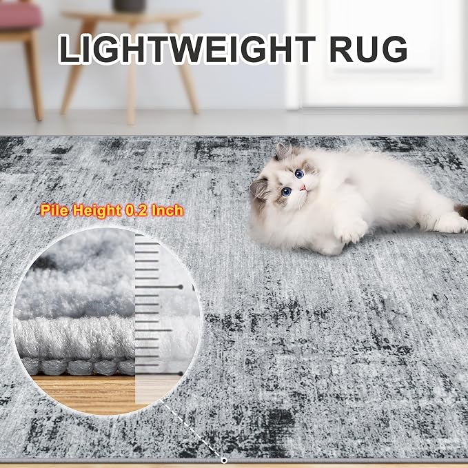 Area Rugs 9x12 Living Room - Washable Rug Modern Abstract Soft Large Neutral Non-Slip Carpet Indoor Floor Thin Carpets for Bedroom Dining Room Farmhouse Nursery Home Office Black