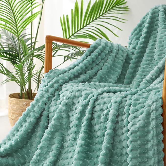 Exclusivo Mezcla Extra Large Soft Fleece Throw Blanket, 50x70 Inches 3D Clouds Stylish Jacquard Throw Blanket for Couch, Cozy Soft Lightweight for All Season, Celadon Blanket | Extra Soft Fuzzy Plush Lightweight Throws, Cozy Fluffy Decorative Blankets ...