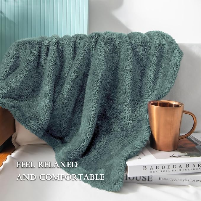 Exclusivo Mezcla Fuzzy Plush Fleece Bed Blanket Twin XL Size, Celadon | 90x66 Inches, Super Soft and Cozy Bed Blanket, Fluffy Blanket for Bed, College Dorm Room Essentials, All Season