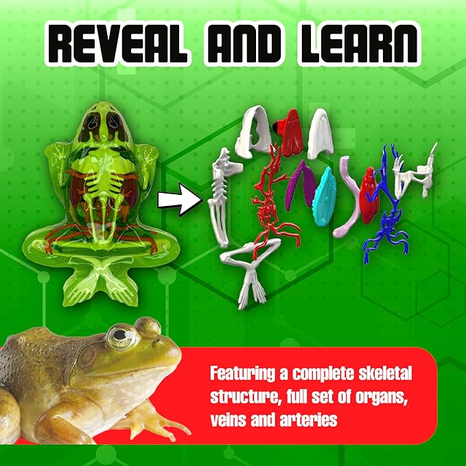 Dissect-It Upgraded Frog Dissection Toy Kit, Lab Experience Simulation Toys, STEM Toys for Animal Science, Anatomy, and Home Learning