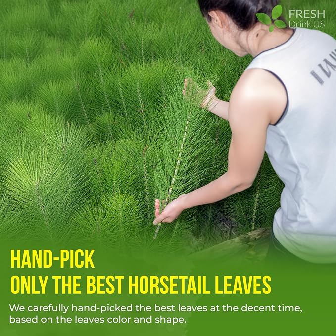 FreshDrinkUS, Premium 55 Horsetail Leaf Tea Bags, 100% Natural & Pure from Horsetail Loose Leaves Herbal Tea. Made with Natural Material Tea Bags. No Sugar, No Caffeine, No Gluten, Vegan.