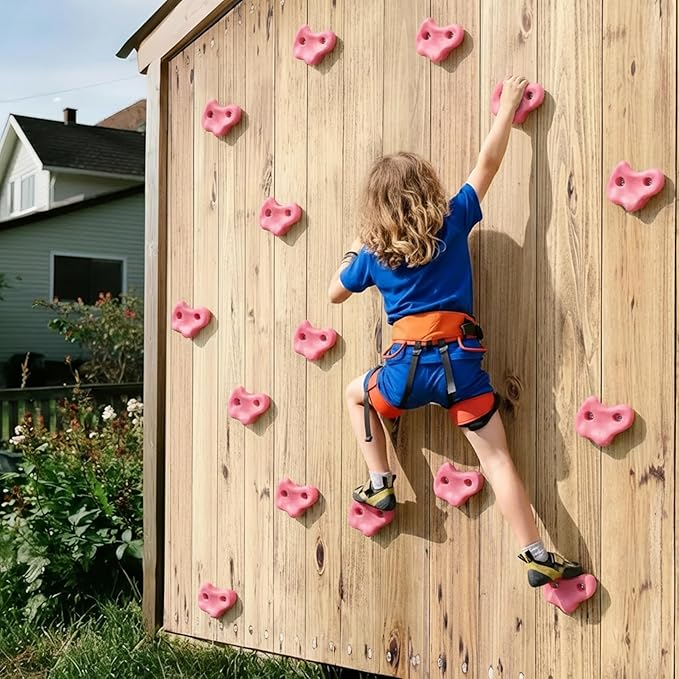 veimia Rock Climbing Holds for Kids, 10PCS Extra Large Climbing Wall Grips with Mounting Hardware and Hex Wrench, Indoor Outdoor Playground Rock Wall for Wooden Board, Weight Capacity 230 lbs
