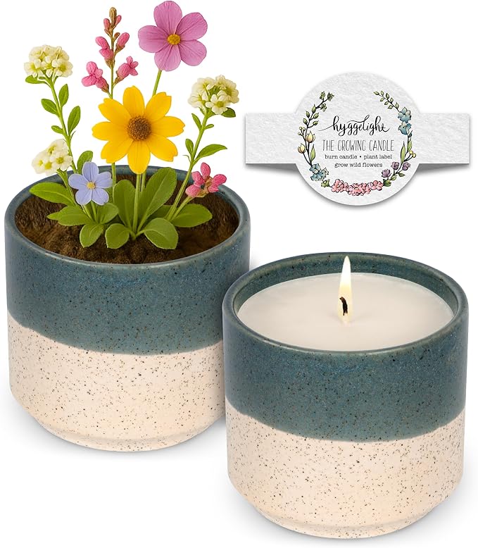 The Growing Candle, from Flame to Flower, Lemongrass Scented, Non-Toxic, 100% Soy Wax, Indoor Wildflower Garden, Aromatherapy Gift for Women, 8.5oz, 45-50 Hr Burn Time, Willow
