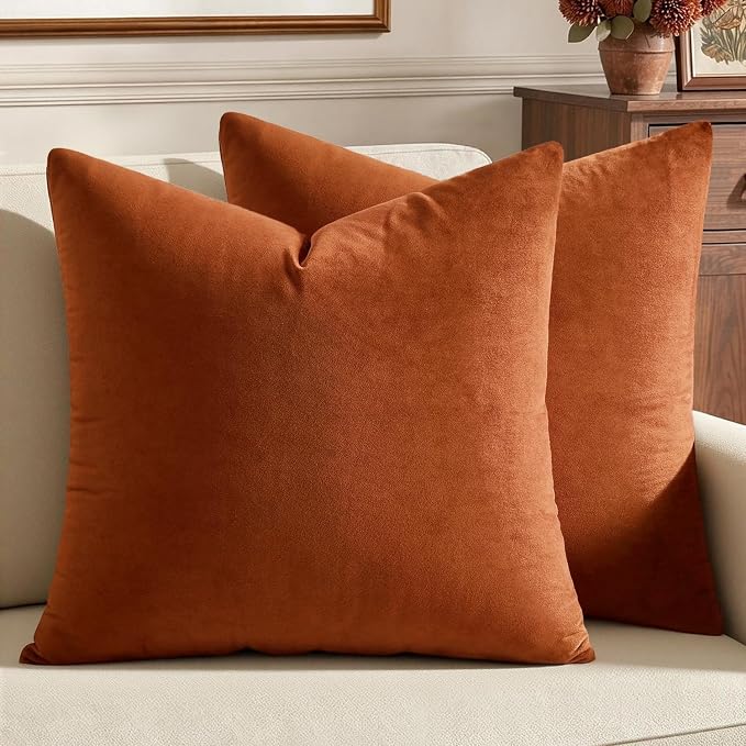 MIULEE MIULEEVelvet Euro Fall Throw Pillow Covers 24x24 Inch Pack of 2 Rust | Soft Solid Decorative Euro Sham, Modern Luxury Home Decor, for King Bed Sofa Couch Bedroom Livingroom