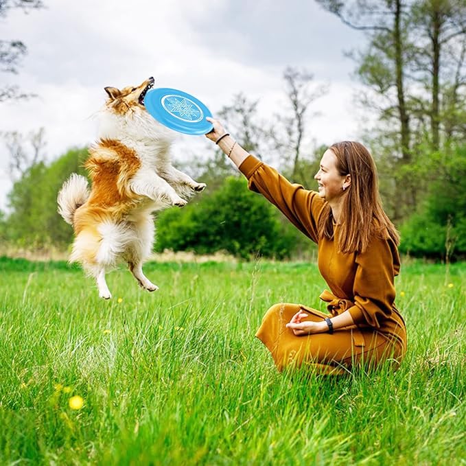 Eastgoing Outdoor Flying Disc 175 Gram, 10.75 Inch Sport Disc ，Loads of Colors Available, Suitable for Competitions, Team Flying Disc for Beach, Park, Pet, Camping and More,