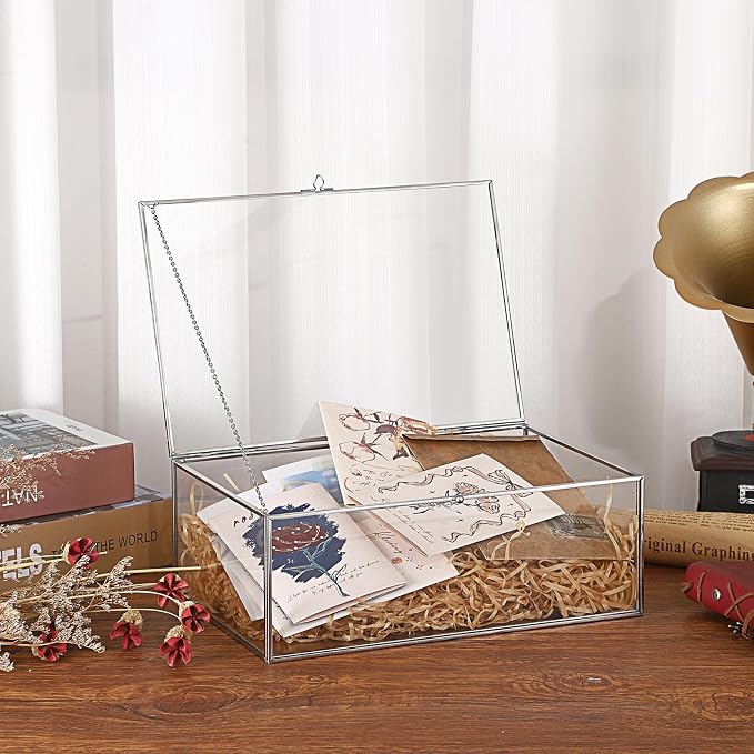 Hipiwe Vintage Glass Box with Lid Clear Jewelry Display Organizer, X-Large | Rectangle Vanity Lidded Boxes Home Decor Accent Silver Decorative Glass Box for Keepsakes Trinket Perfume