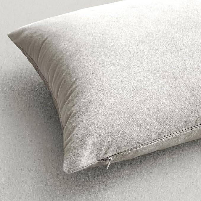 MIULEE 24x24 Inch Pack of 2 Euro Velvet Throw Pillow Covers Greyish White | Soft Solid Decorative Euro Sham, Modern Luxury Home Decor, for King Bed Sofa Couch Bedroom Livingroom