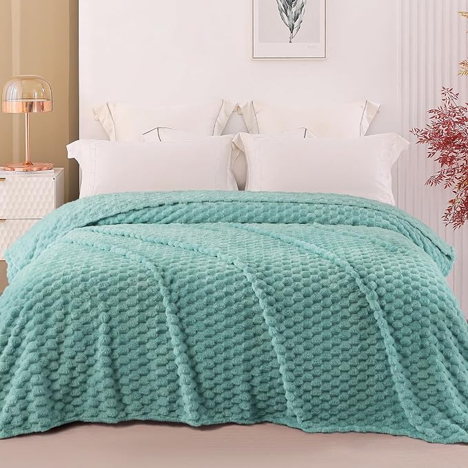 Exclusivo Mezcla 3D Fleece Queen Size Blanket for Bed, Celadon | Extra Soft Fuzzy Plush Lightweight Bed Blankets, Cozy Fluffy Decorative Blankets for All Seasons, 90x90 Inches
