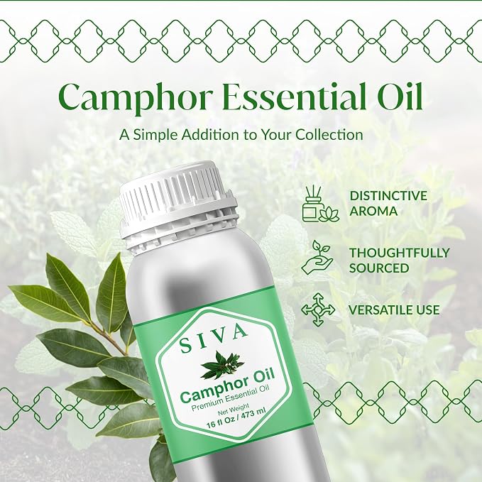 Siva Camphor Essential Oil 16 Fl Oz – for Diffuser, Skin & Hair Care – Ideal for Massage & DIY Blends