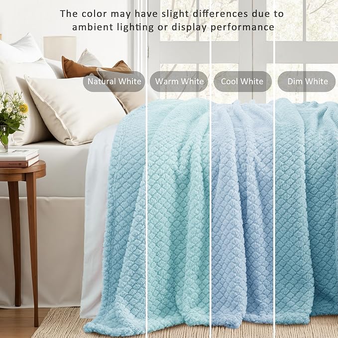 Exclusivo Mezcla Soft Fleece Throw Blanket for Couch, Light Blue | Jacquard Lightweight Cozy Throws for Bed, Sofa, Breathable Decorative Fuzzy Textured All Season Use, 50x60 Inches