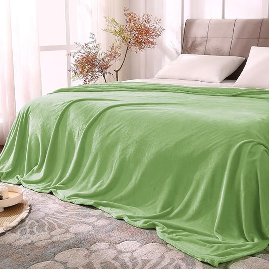 BEDELITE Fleece Blanket Soft Plush Queen Bed Blanket Grass Green 90"x90" | Ultra Soft Fleece, Plush Microfiber, Lightweight Warmth, All Season Comfort, Fade Resistant, Machine Washable,Perfect for Bed