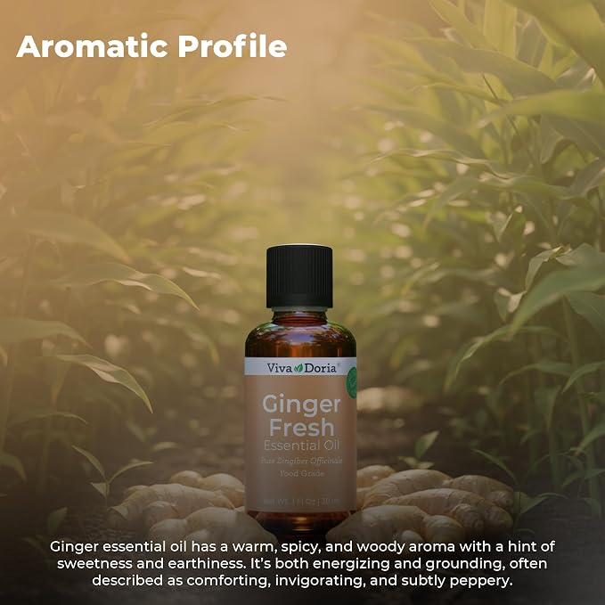 Viva Doria Ginger Essential Oil, 100% Pure Natural, Fresh Ginger Essential Oil, Undiluted, for Aromatherapy | Food Grade, 30 mL (1 Fluid Ounce)