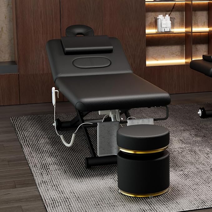 Dolonm Electric Massage Table, Electric Lift Motor and Manual Backrest Adjustable for Treatment/Medical Spa/Facial Bed/Beauty Bed and More - 31.2 Wide x 75 Long - Black