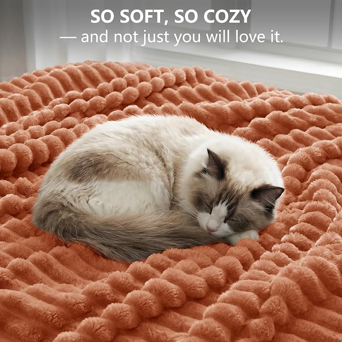 Burnt Orange Twin Blanket for Bed & Couch, 60 x 80 Inch | 300GSM Ribbed Fleece Blanket, Soft, Cozy & Lightweight, OEKO-TEX Certified, All-Season Use for Travel, Dorm & Home Decor