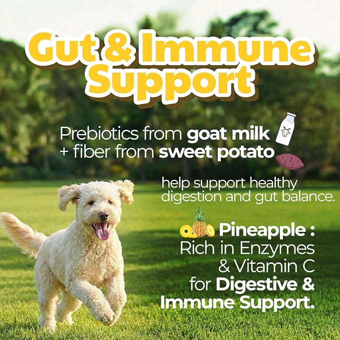 Freeze-Dried Goat Milk Dog Treats, Pineapple, 1.76 oz