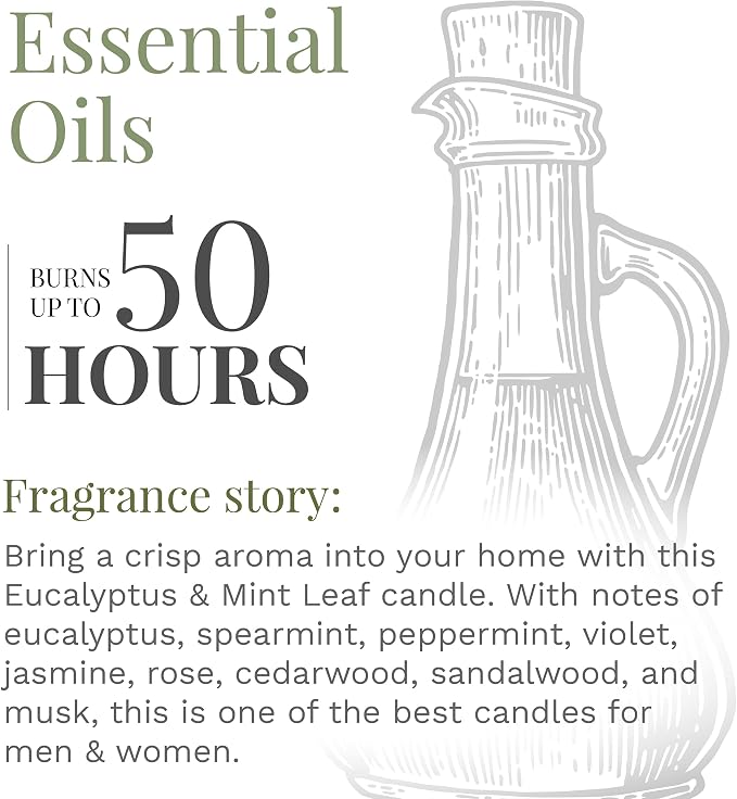 Essential Elements by Candle-lite Scented Candles Eucalyptus & Mint Leaf Fragrance, One 9 oz. Single-Wick Aromatherapy Candle with 50 Hours of Burn Time, Off-White Color