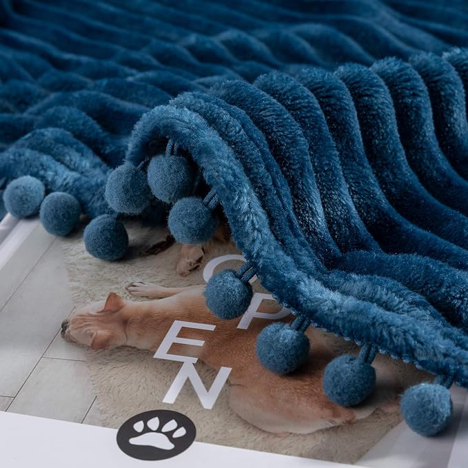 DISSA Fleece Blanket Twin Size – 60x80, Blue - Soft, Plush, Fluffy, Fuzzy, Warm, Cozy – Perfect Throw for Couch, Bed, Sofa - with Pompom Fringe - Flannel Blanket