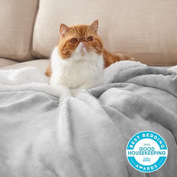 Bedsure GentleSoft Sherpa Fleece Blankets King Size for Bed, Non-Heated, Thick and Warm Throw for Women and Men, Soft Fuzzy Plush King Blanket for Winter, Light Grey, 108x90 Inches