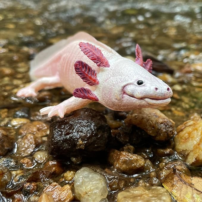 Safari Ltd. Axolotl Figurine - Realistic 7" Model Figure - Educational Toy for Boys, Girls, and Kids Ages 3+