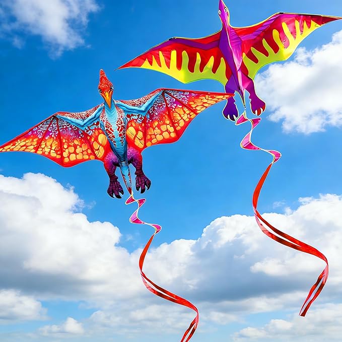 HENGDA KITE 2 Pack Dragon Kites for Kids and Adults，Dinosaur Kite Easy to Fly,Beach Kites for Family Outdoor Toy Games & Activities,Suitable for Beginners