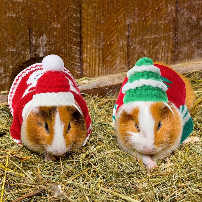 10 Pcs Guinea Pig Clothes, 5 Guinea Pig Costume Outfit, 5 Mini Hat with Adjustable Strap Small Animal Warm Vest Sweater Cozy Hand Knitted Hat for Hamster Bunny(Classic)