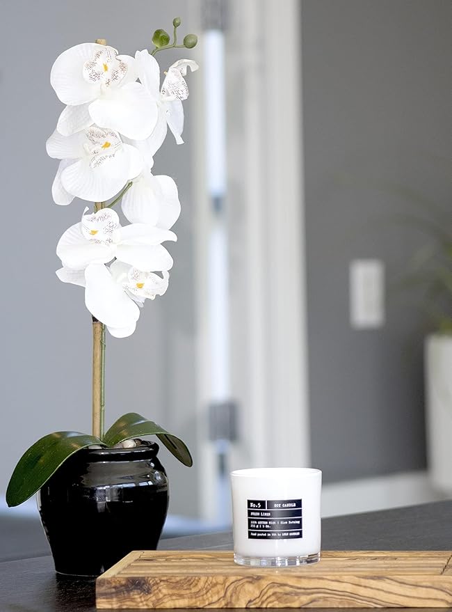 Lulu Candles | Poolside | Luxury Scented Soy Jar Candle | Hand Poured in The USA | Highly Scented & Long Lasting (9 Oz.)