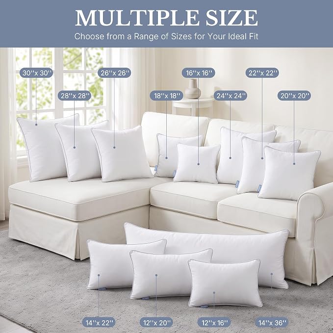 Leeden 14x22 Pillow Inserts Set of 2-14 Inch Rectangular Throw Pillow Insert, Soft Fluffy Couch Pillow Forms for Bed Sofa, White Decorative Insert Pair