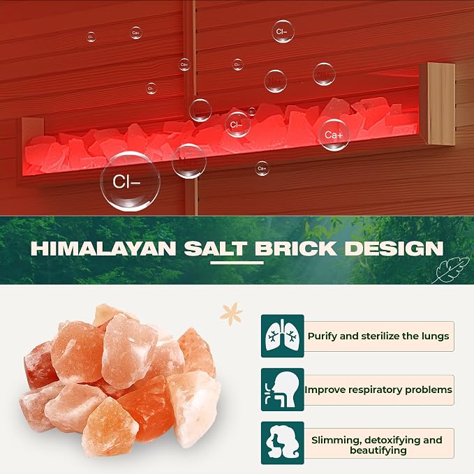 Infrared Sauna,2 Person Luxurious Indoor Sauna with Recliner, Wooden Sauna with 7-Color Starry Ceiling,9 Heating Tubes,5 Carbon Panels,2-in-1 Door Handle,Himalayan Salt Brick,220V