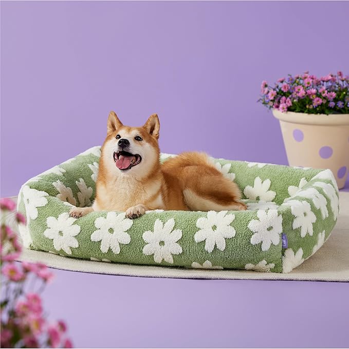 Lesure Cute Dog Bed for Large Dogs - Washable Pet Beds,Cozy Rectangle Orthopedic Sofa with Jacquard Shaggy Plush & Anti Slip Bottom,36x27x8inches