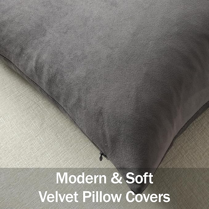 Throw Pillow Covers 22x22 Dark-Grey: Pack of 2 Cozy Soft Velvet Square Modern Luxury Decorative Throw Pillow Cases for Sofa Couch Living Room Bed Home Decor