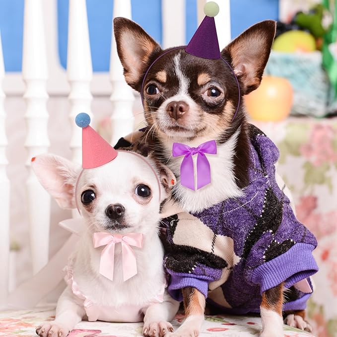 12pcs Mini Party Hats for Stuffed Animals, Birthday Party Cone Hats with Bow Tie for Dolls Dog Cat Rabbit Puppies Assorted Animal Birthday Decorations