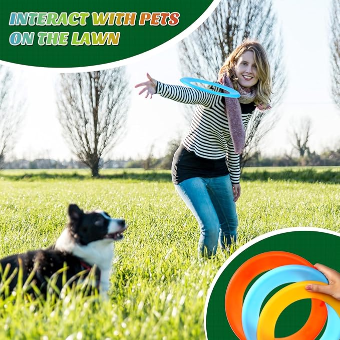Lenwen Flying Discs Bulk Flying Rings for Kids Sports Outdoor Disc Toy Party Favor for Camping Yard Lawn Backyard Garden Pets Games Party Favors, Assorted Colors, 10 inch