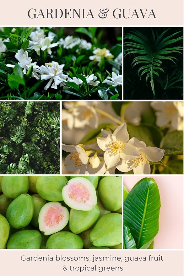 Eco Candle Co. Gardenia & Guava Tea Light Candles, 10-Pack, 9 Hr Burn Time | Scents of Gardenia, Jasmine, Guava, & Tropical Greens - Recyclable, No Lead, Hand Poured, Midwest Soybeans, .6 oz. Each