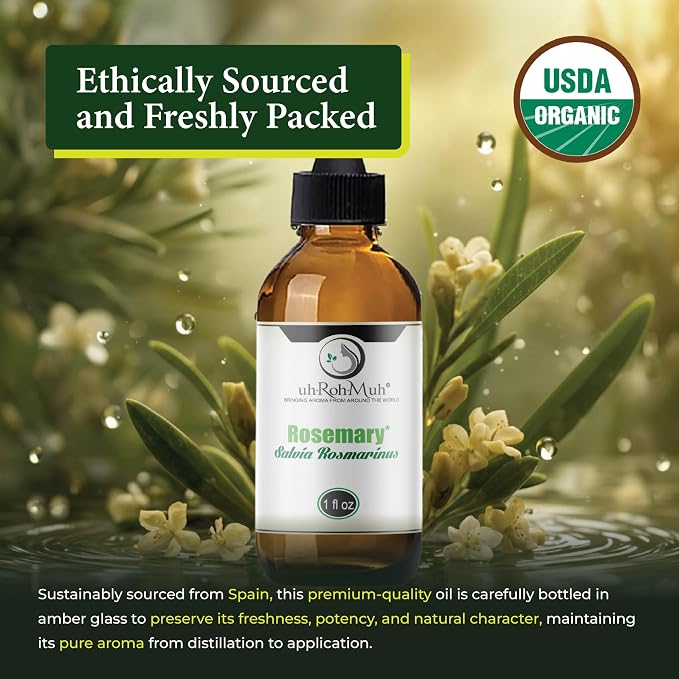 Organic Rosemary Essential Oil Chemotype Cineole | 100% Pure Steam Distilled Rosemary Oil | Fresh Herbaceous Aroma for Diffuser Aromatherapy, Massage Blends & DIY Recipes | Spain - 1 Fl Oz