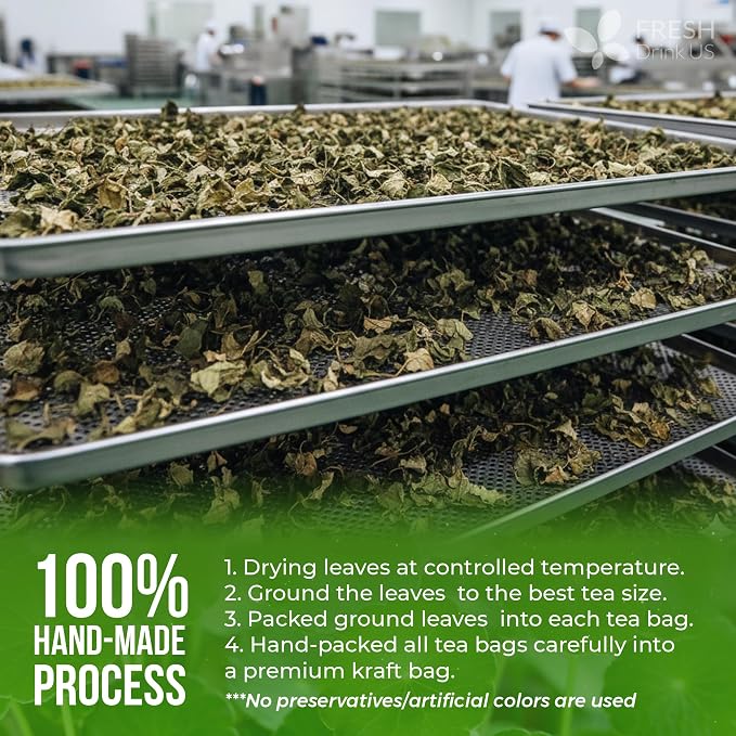 FreshDrinkUS, Premium Gotu Kola Leaves (Centella asiatica) | 8 oz Dried Loose Leaf | Naturally Mild & Earthy Herbal Tea – Premium Quality Leaves. Sugar-Free. Caffeine-Free. Vegan