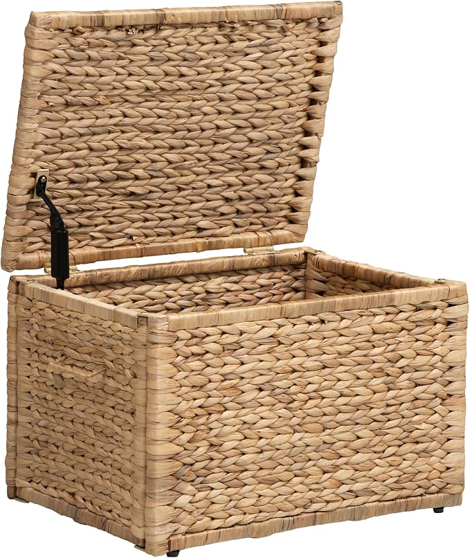 Storage Trunk with Metal Frame, Natural, 20.5 by 14.8 by 13.4 Inches | Safety Hinge, Heavy-duty Wicker Chest, Handwoven Water Hyacinth