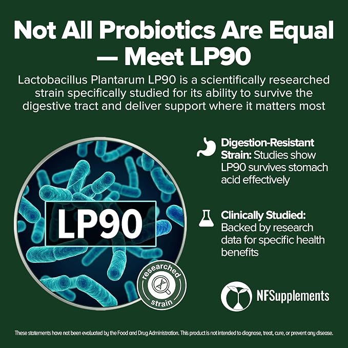 Lactobacillus Plantarum Probiotic 240 Tablets (4 Month Supply) – Researched Strain LP90 – 3 Billion CFU – Digestive Health & Gut Comfort – GMP Certified (240, Lactobacillus Plantarum)
