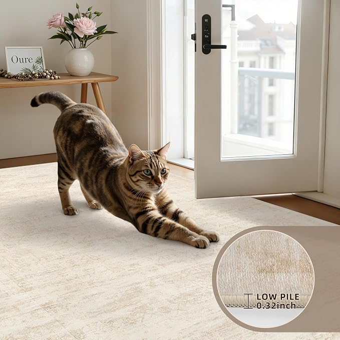 2'6''x8' Hallway Washable Runner Rug: Vintage Boho Neutral Kitchen Rug Soft Small Area Rug Indoor Floor Non-Slip Low Pile Carpet for Farmhouse Entryway Laundry Bathroom Bedroom Beside Rugs Retro Beige