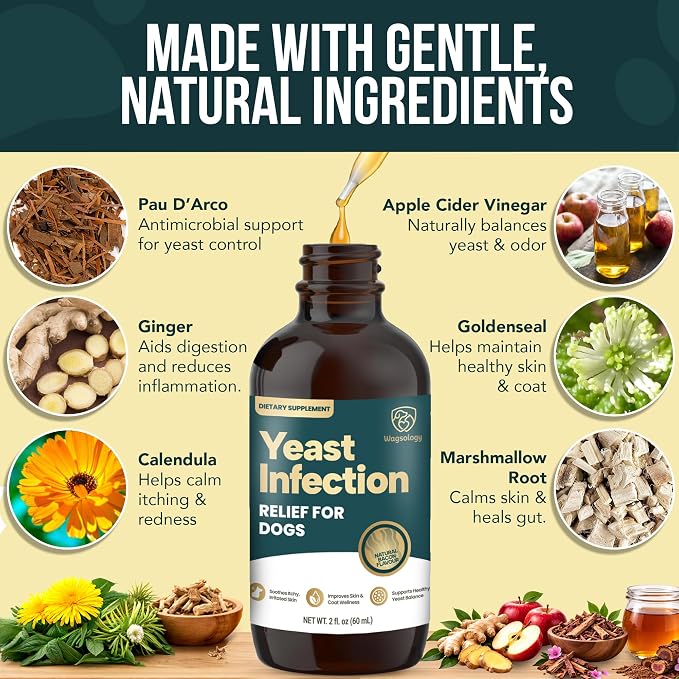 Yeast Infection Treatment for Dogs Drops (7 in 1 Formula) Soothes Itchy & Irritated Skin, Improves Skin and Coat, Dog Yeast Infection Treatment & Anti Yeast Drops for Dogs