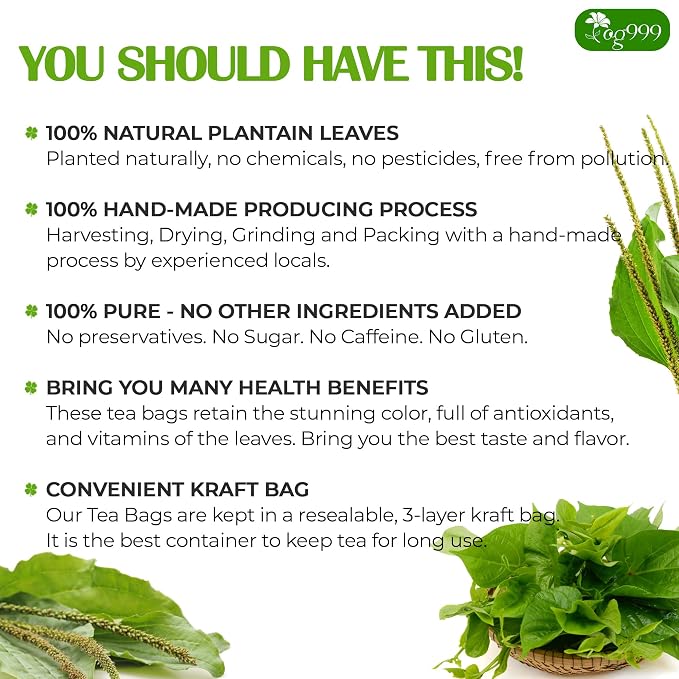 TOG999 Premium 60 Tea Bags Plantain Leaf Tea, 100% Natural Plantain Leaves, Herbal Tea for Daily Wellness, No Additives, Caffeine Free, No Sugar, Non-GMO, Gluten Free