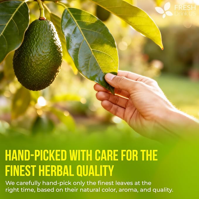 FreshDrinkUS, Avocado Leaf Tea Bags | 40 Count | Premium Dried Avocado Leaves Herbal Tea – Caffeine Free Botanical Tea – Fresh, Smooth & Earthy Flavor. Sugar Free. Vegan