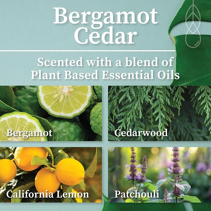 Hemlock Park Bergamot Cedar Frosted Scented Candle | Crackling Wood Wick, Botanical Fragrance & Coconut Apricot Wax | Up to 60 Hour Burn Time | 8 oz | Made in USA