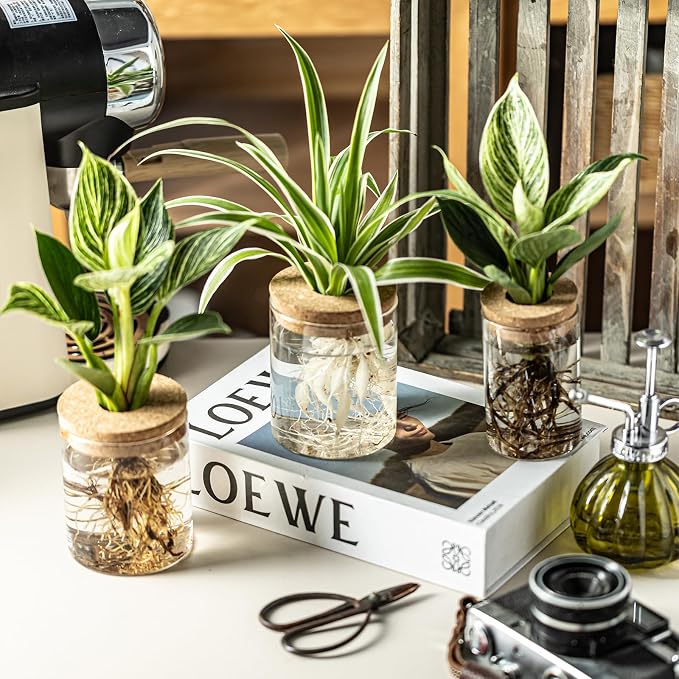 Glass Plant Propagation Stations for Plants – Set of 8(4 Large & 4 Small) Hydroponic Vases for Plant Cuttings,Flower Arrangements, Home & Office Decor–Desktop Vases for Living Room, Bedroom (8)