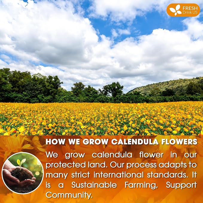 FreshDrinkUS, Premium 55 Calendula Tea Bags, 100% Natural and Pure Calendula Flowers, Eco-conscious Tea Bags. Herbal Tea. No Sugar, No Caffeine, No Gluten, Vegan.