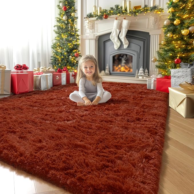 Amdrebio Terracotta Furry Small Area Rug 3x5 for Kids Bedroom Living Room | Fuzzy Fluffy Shaggy Thick Rust Carpet, Preppy Dorm Classroom Nursery Playroom Decor, Rustic Southwestern Vintage Aesthetic