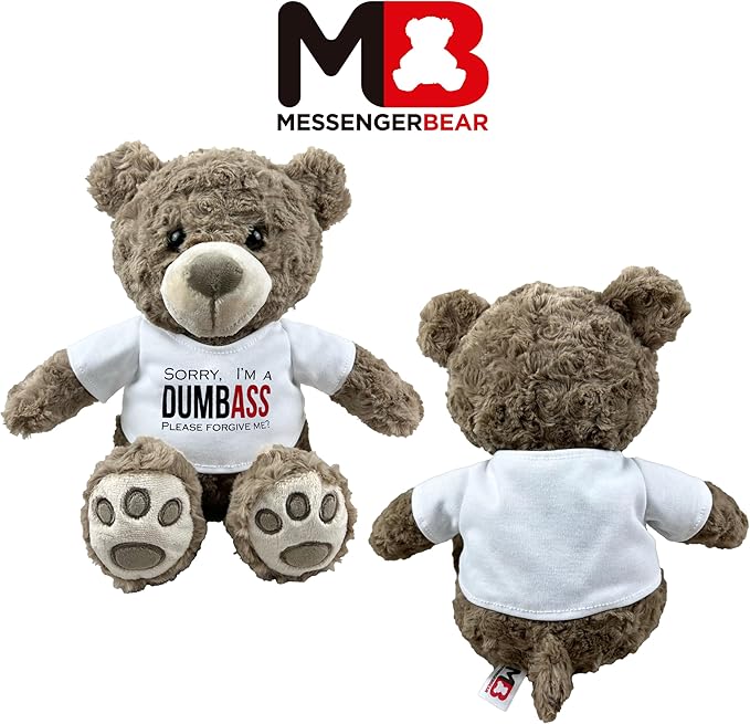 I’m Sorry Teddy Bear 10” Sitting | I Love You Im Sorry Plushie | Im Sorry Gifts for Her Stuffed Animal