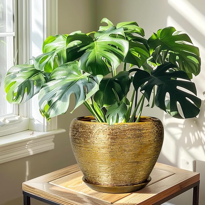 Ceramicfor Ceramic Planter 10 Inch - Indoor Plant Pot with Drainage Hole and Saucer Large Decorative Planter Mid-Century Modern Flower Pot Outdoor for Home Decor Gold