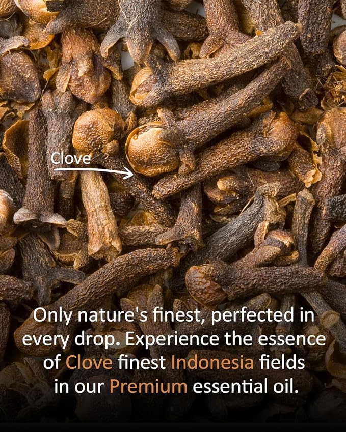 Clove Essential Oil, 100% Natural, Warm Spicy Scent, 4 Fl Oz | for Skin, Aromatherapy, Home Fragrance Diffusion, Massage & DIY Crafts (Candles, Soap), Ideal Relaxing Gift for Holidays