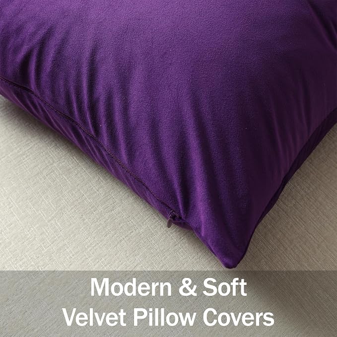 Lumbar Pillow Covers 12x20 Purple: Pack of 2 Cozy Soft Velvet Rectangular Modern Luxury Decorative Throw Pillow Cases for Sofa Couch Living Room Bed Home Decor