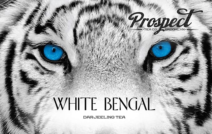 Prospect Tea Co. White Bengal Darjeeling Tea Pods Compatible with K Cup Brewers Including 2.0, 40 Count